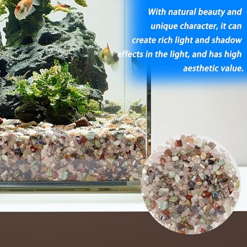 Akvarium med färgglada stenar och växter.