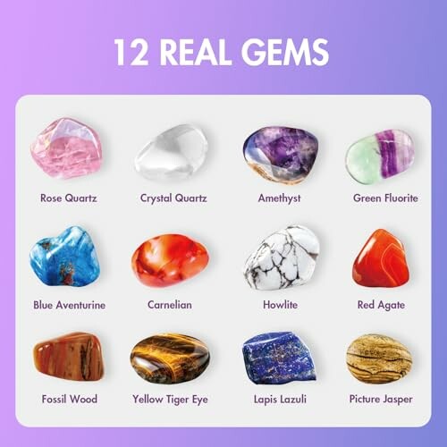 Tolv ädelstenar, inklusive rosenkvarts och ametist.