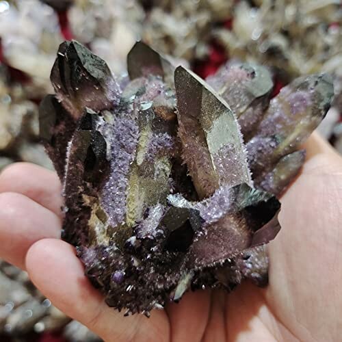 En hand som håller en ametistkluster.