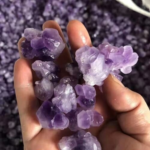 Hand som håller ametistkristaller