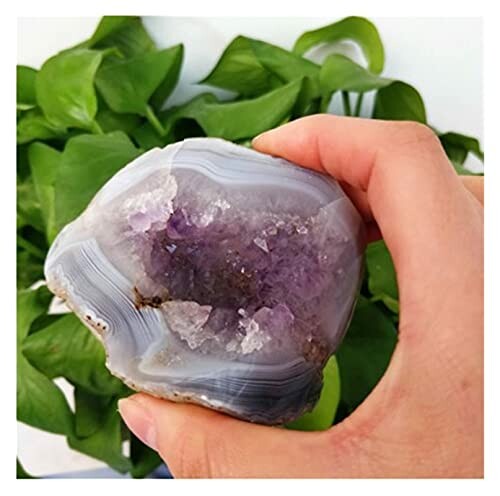 Hand håller en ametistgeod framför gröna blad.