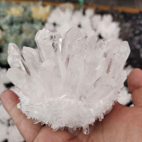 Klart kvarts kristaller i en hand