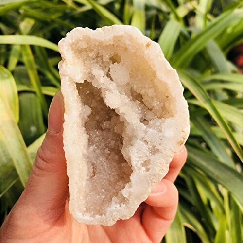 Hand som håller en kristallgeod framför gröna blad.