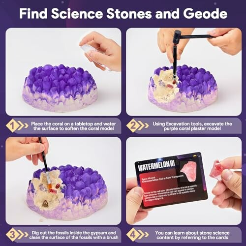 Instruktioner för att hitta vetenskapsstenar och geoder.