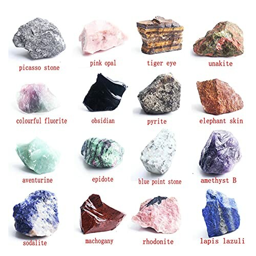 Olika mineraler och stenar arrangerade på vit bakgrund.