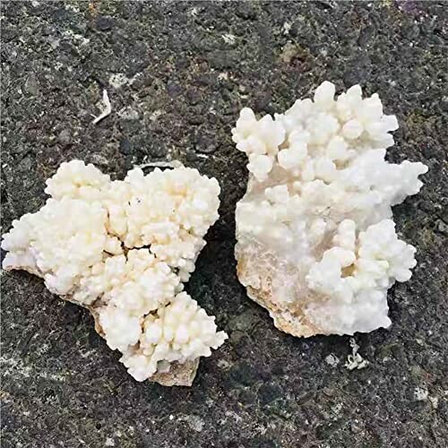 Vit Stalaktit Kristallkluster