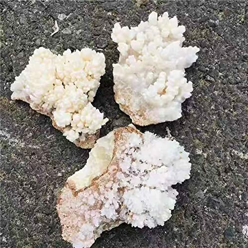 Vita kristaller på marken